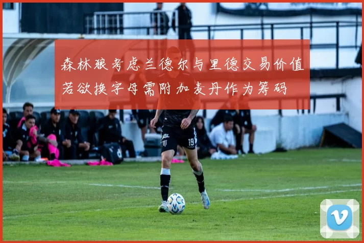 森林狼考虑兰德尔与里德交易价值若欲换字母需附加麦丹作为筹码