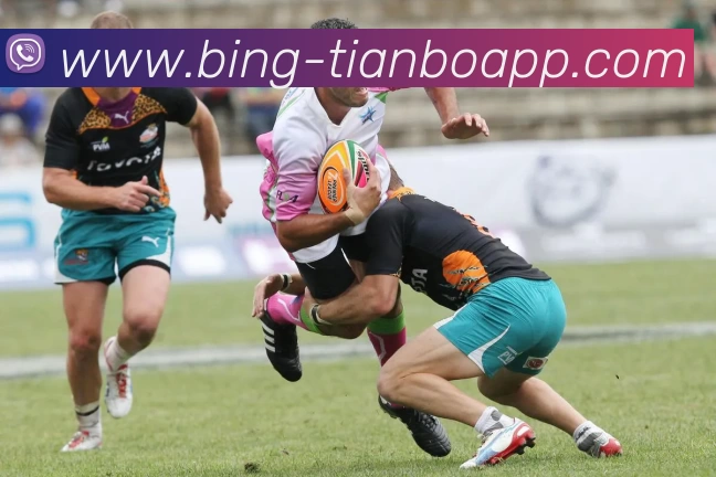 天博体育平台生态图